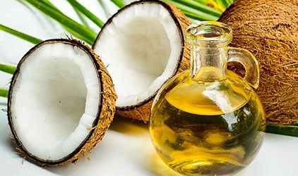 Bulk Natural Essential Oils direct factory extraction Phyto Life Sciences