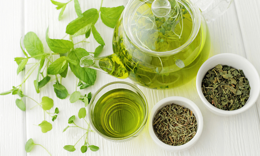 Standardized Green Tea Extract EGCG